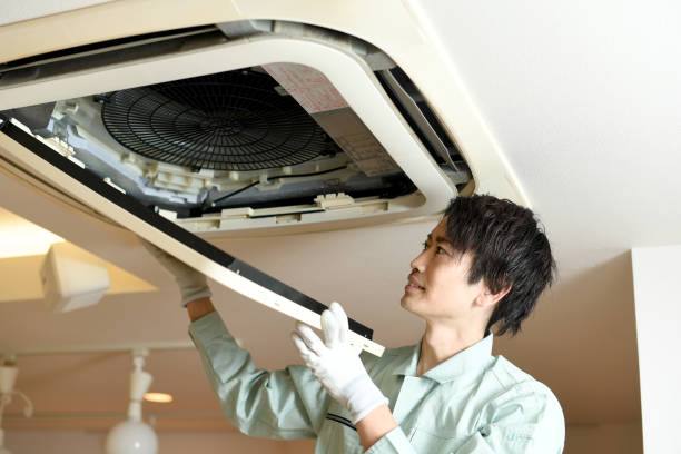 Best Affordable Duct Cleaning Services  in Trafalgar, IN