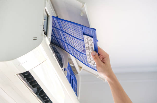 Best Ductwork Cleaning Services  in Trafalgar, IN